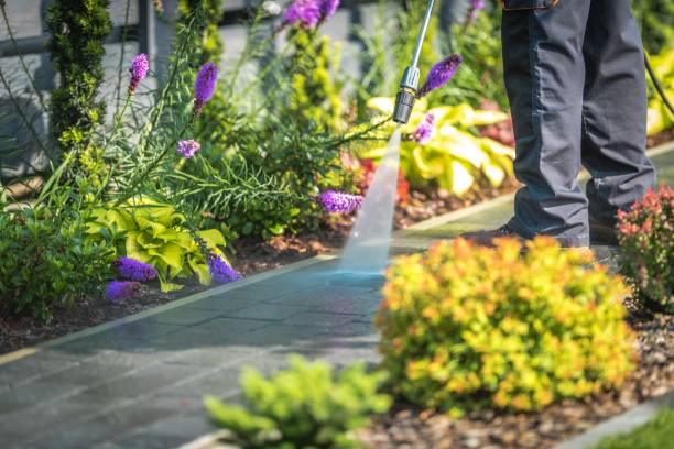 Trusted Brooklet, GA Pressure Washing Services Experts
